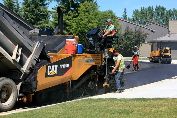 Best Local Driveway Pavers  in Wright, WY